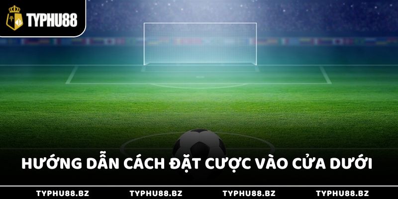 Kèo 0.5/1 Là Gì Giúp Thắng Lớn Khi Cược Thể Thao Typhu88 3 Hướng dẫn cách đặt cược vào cửa dưới