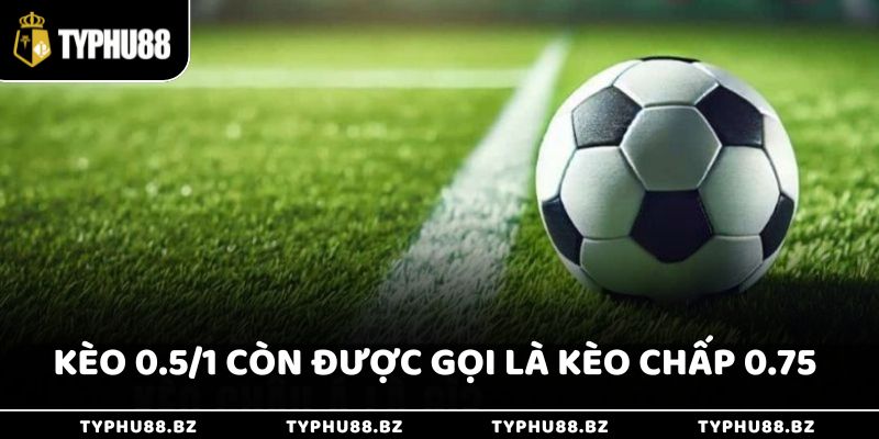 Kèo 0.5/1 Là Gì Giúp Thắng Lớn Khi Cược Thể Thao Typhu88 2 Kèo 3/4 trái là một dạng kèo châu Á, còn được gọi là kèo chấp 0.75