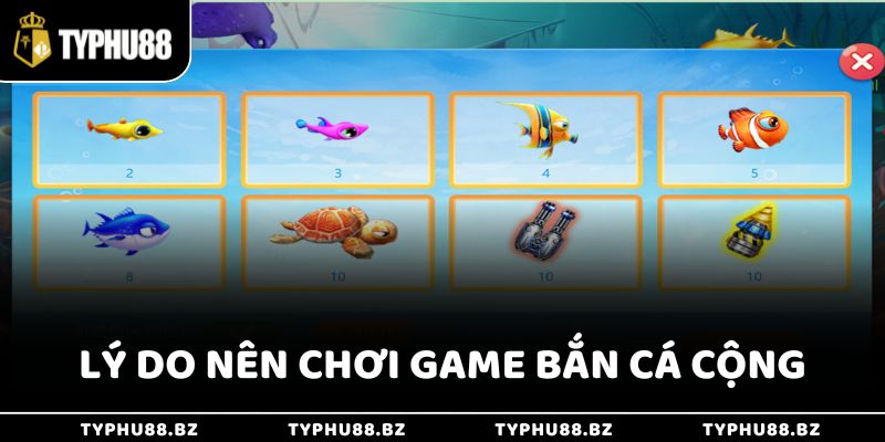 Bắn Cá Rùa Xanh Typhu88 - Hội Tụ Đủ Các Sự Kiện Siêu Hot 3 Lý do nên chơi game bắn Cá Cộng