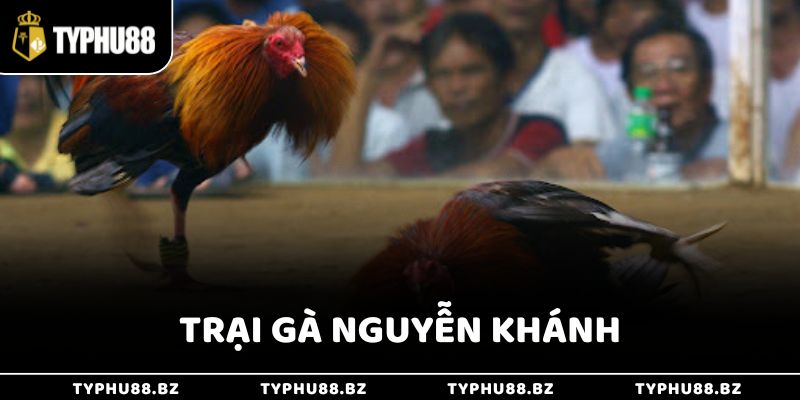 Trại gà Nguyễn Khánh